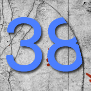 Frakce 38
